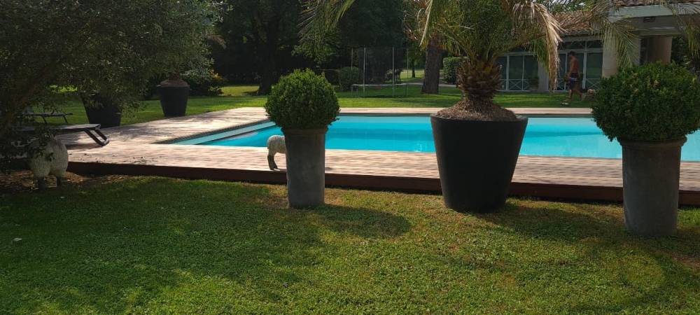 piscine-tour-bois-arbustes